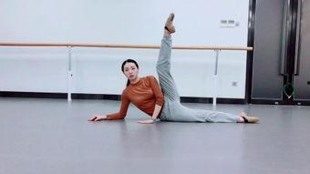 成人舞蹈挺拔视频教学大全,成人舞蹈教学视频大全精华解析