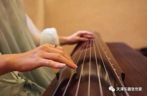 乐器成人易学视频大全,成人易学视频大全攻略