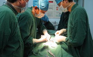 成人包茎手术过程视频,专业视角下的手术步骤解析