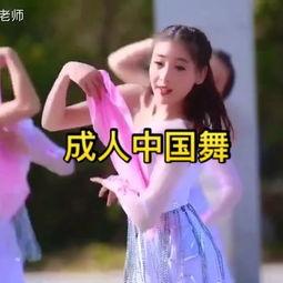 身韵成人舞蹈视频大全,成人舞蹈视频大全精选回顾