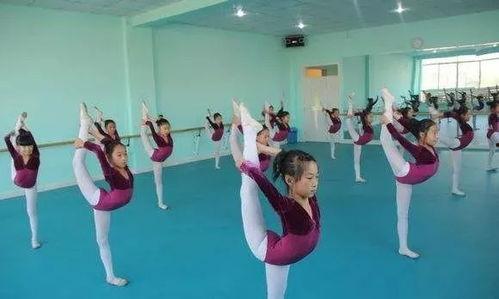 成人鼓韵舞蹈教学视频,成人鼓韵舞蹈教学视频概览