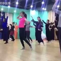 成人舞蹈跳舞的视频大全,精选成人舞蹈视频大全赏析