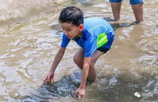 摆摊成人抓鱼技巧视频,视频教学，轻松学会抓鱼技巧