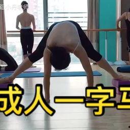 成人训练扎马步视频,成人训练扎马步技巧解析